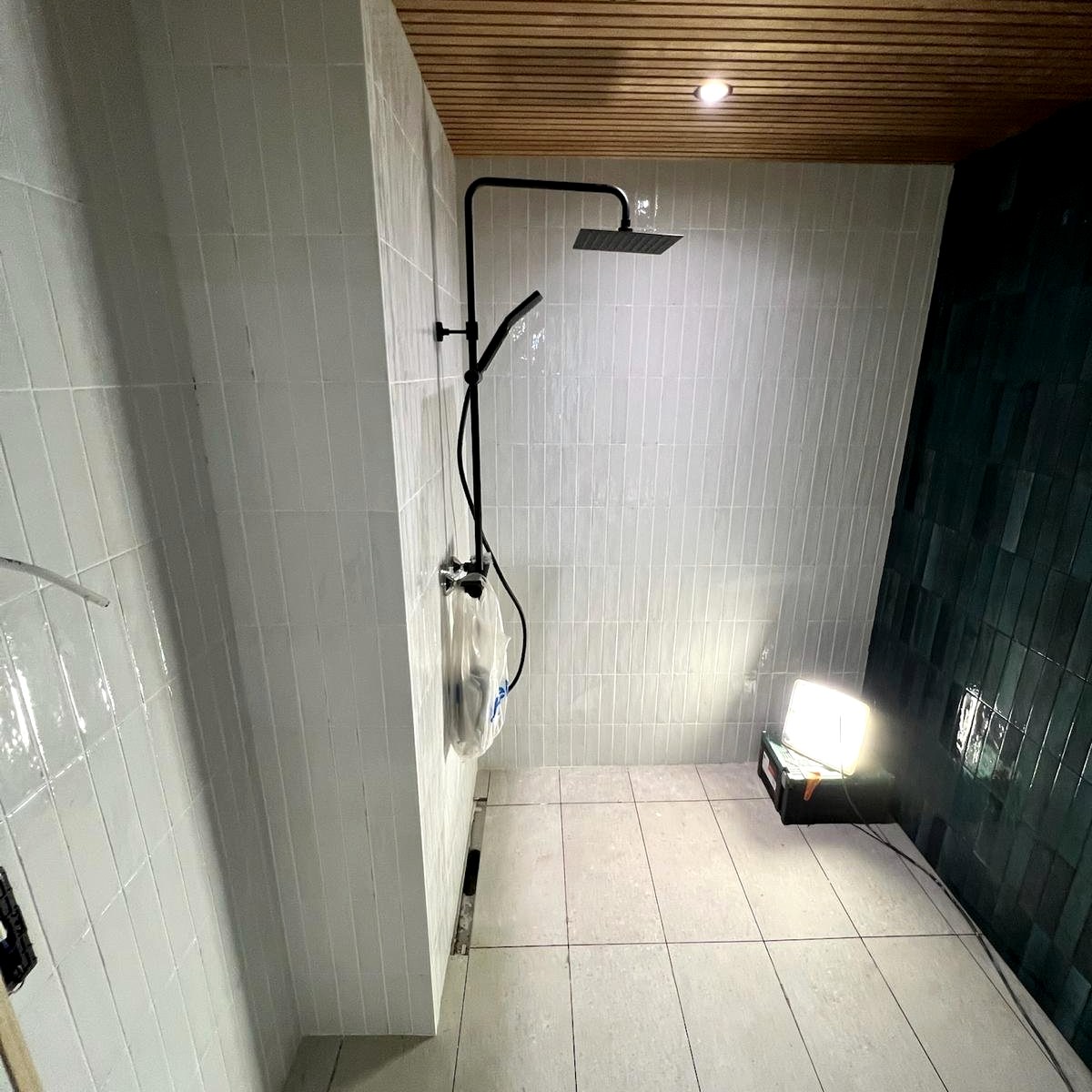 1200x1200 dussiruum 01